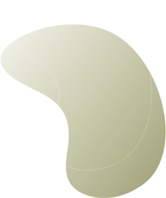 https://khanash.com/wp-content/uploads/2020/08/floating_image_08.png